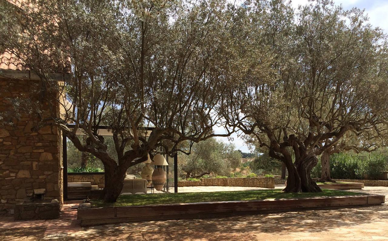 B&B La Collegiata Caltagirone Kültér fotó